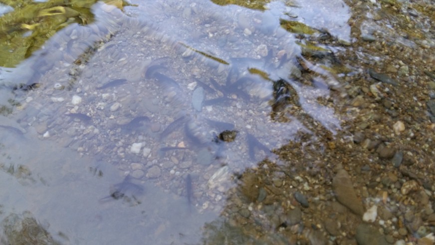 20160530_101442.jpg
